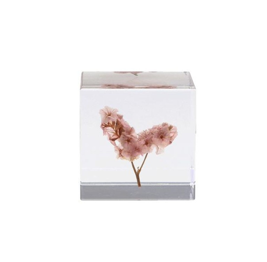 For Home Japan Best | Botanical Acrylic Cube