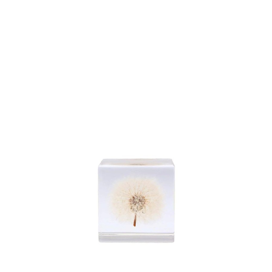 Stationery Japan Best | Large Acrylic Dandelion Cube